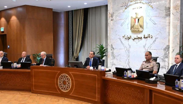 Egypt Approves New Plan to Evaluate and Auction Seized Vehicles