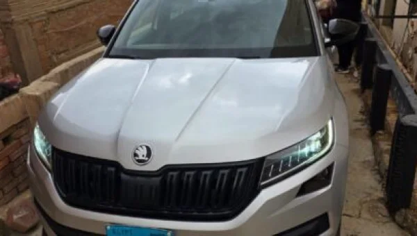 Auction for Toyota Fortuner 2015 and Skoda Kodiaq 2021 in Egypt