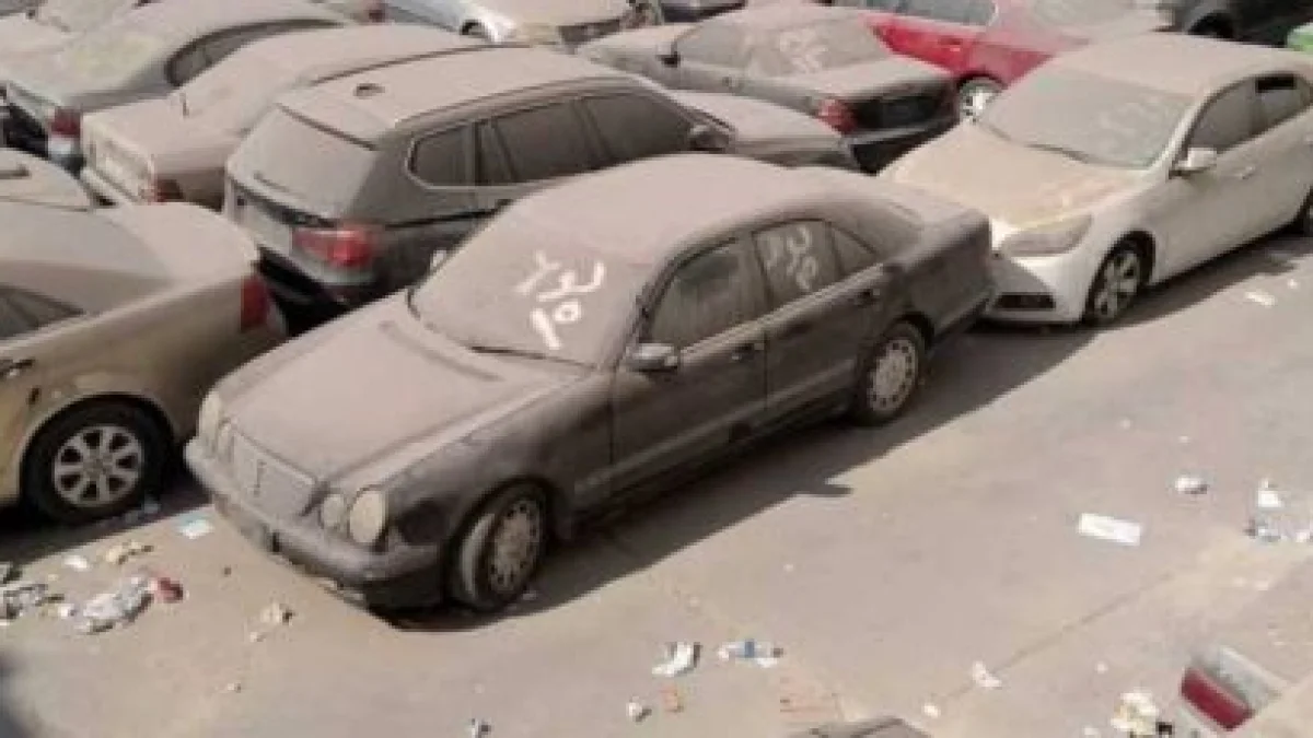Alexandria and Dekheila Customs Auction Generates Nearly EGP 58 Million from Vehicle and Goods Sales