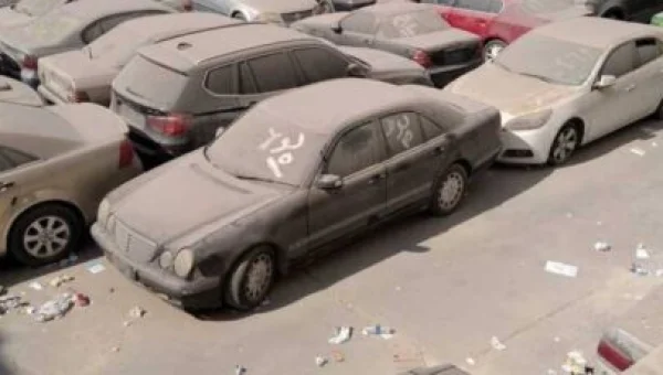 Alexandria and Dekheila Customs Auction Generates Nearly EGP 58 Million from Vehicle and Goods Sales