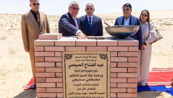 New $16 Million Ferroalloy Plant to Boost Automotive Ancillary Industries in Egypt