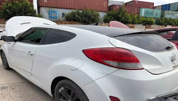 Public Auction for Used Private Cars from Port Said Customs Next Week