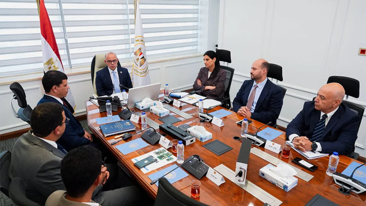 Electric Vehicle Battery Manufacturing Goes Local in Egypt — Strategic Steps to Deepen Industrialization