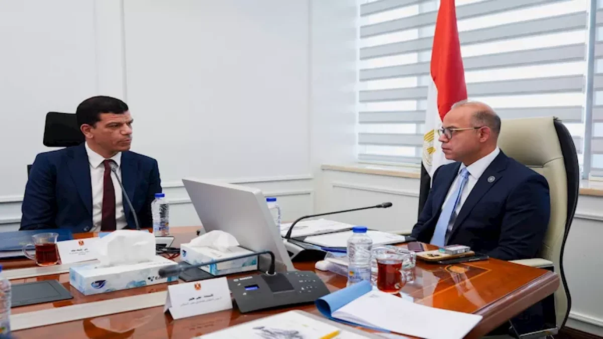 Investment Minister Discusses EVRAID Plans to Localize Electric Vehicle Technology and Increase Local Content in Egypt