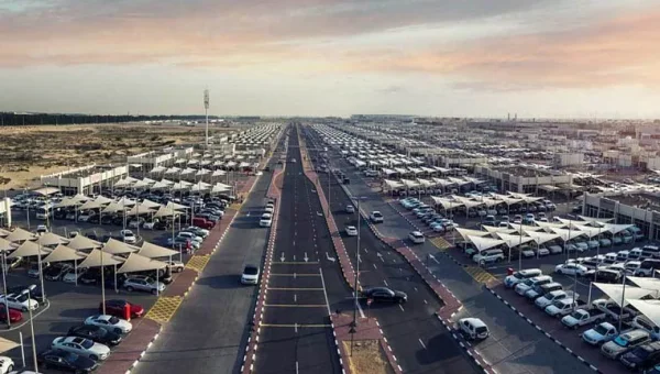 Car Traders Association: Dollar Decline Alone Won't Cut Imported Car Prices by 15%