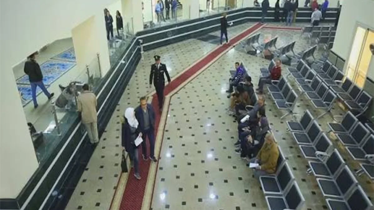 New Cairo Leads New Vehicle Registrations While Salloum and Safaga Drive Customs Growth in June