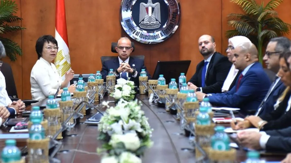 Egypt and China's Jiangsu Changhong Discuss $20 Million Automotive Production Equipment Plant