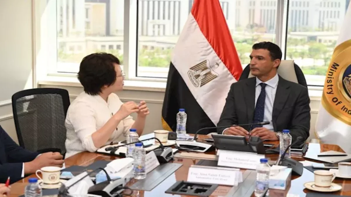 Chinese Investments of $20 Million to Establish Smart Industrial Complex Supporting Egypt's Automotive Industry