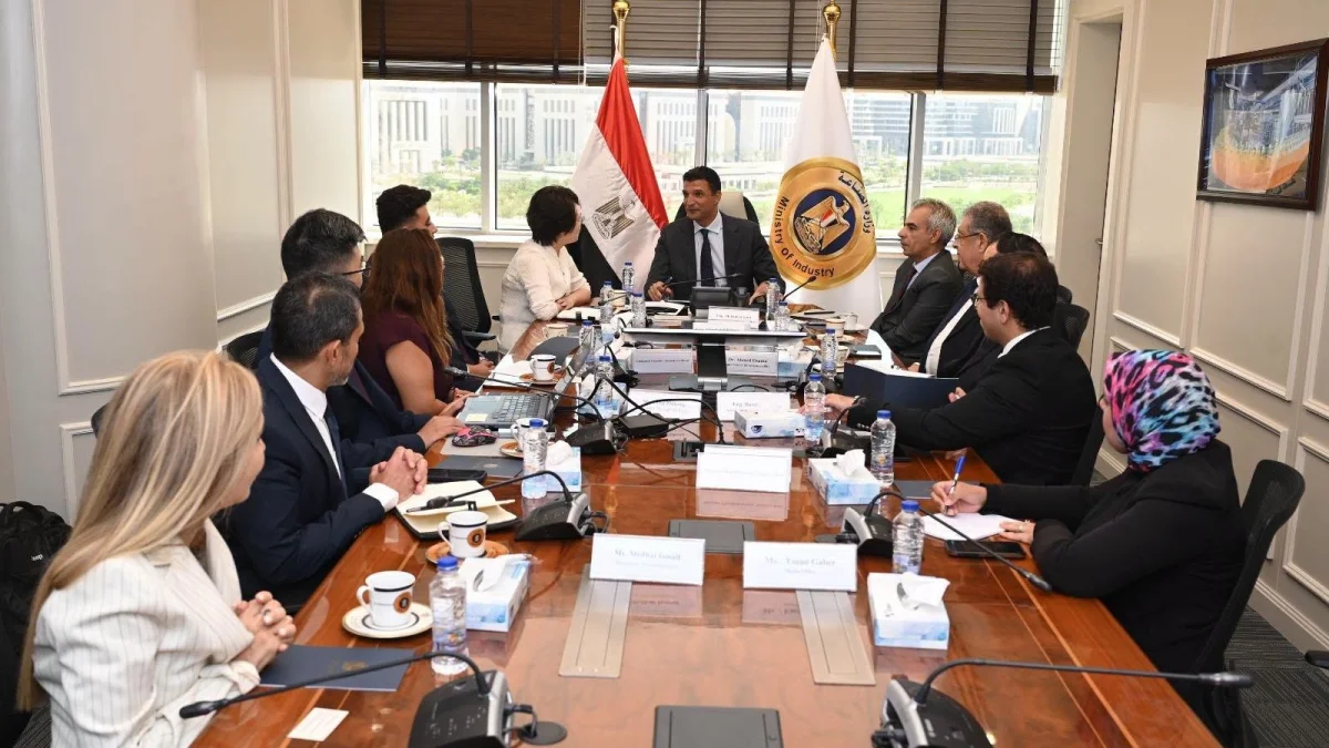 Jiangsu Changhong Plans $20 Million Industrial Complex to Support Egypt's Automotive Industry