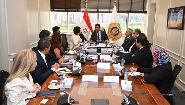 Jiangsu Changhong Plans $20 Million Industrial Complex to Support Egypt's Automotive Industry