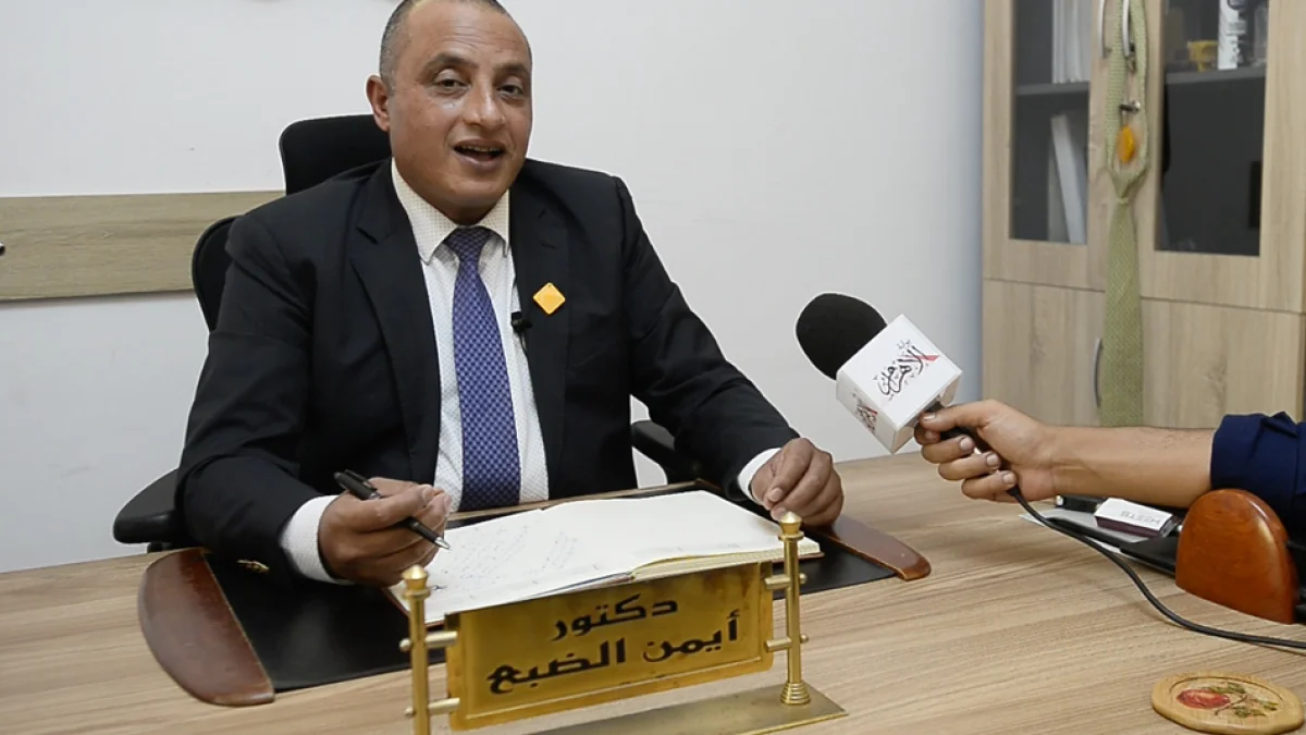 Traffic Expert: Completing Traffic Control Systems Will Double Benefits of Egypt's New Road Network
