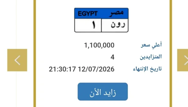 License Plate 'Ron 1' Surpasses One Million EGP in Auction Hours Before Closing