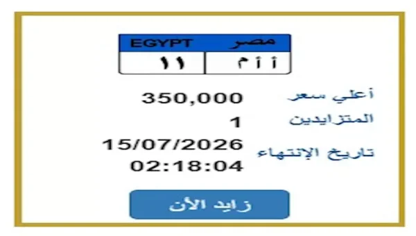 Fierce Bidding in Egypt's Special License Plate Auction: One Plate Reaches EGP 2.5 Million