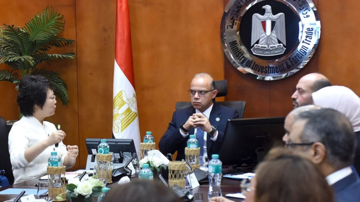 Egypt's Investment Minister Discusses $20 Million Chinese Factory for Automotive Production Lines