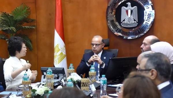 Egypt's Investment Minister Discusses $20 Million Chinese Factory for Automotive Production Lines