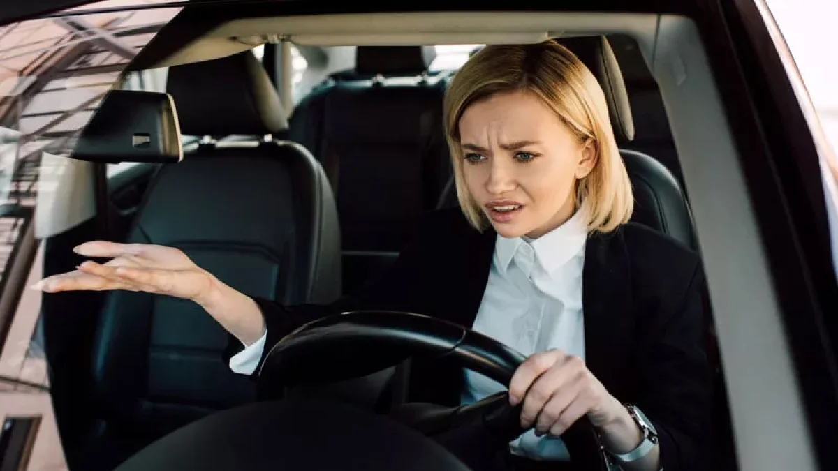 Failure to Renew Vehicle Registration Can Lead to Immediate Administrative Seizure Under Traffic Law