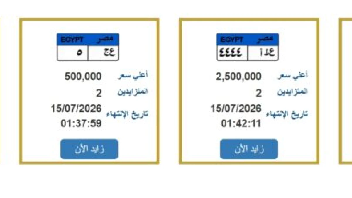 Public Auction for Four Distinctive Car Plates in Egypt with Prices Reaching EGP 2.9 Million