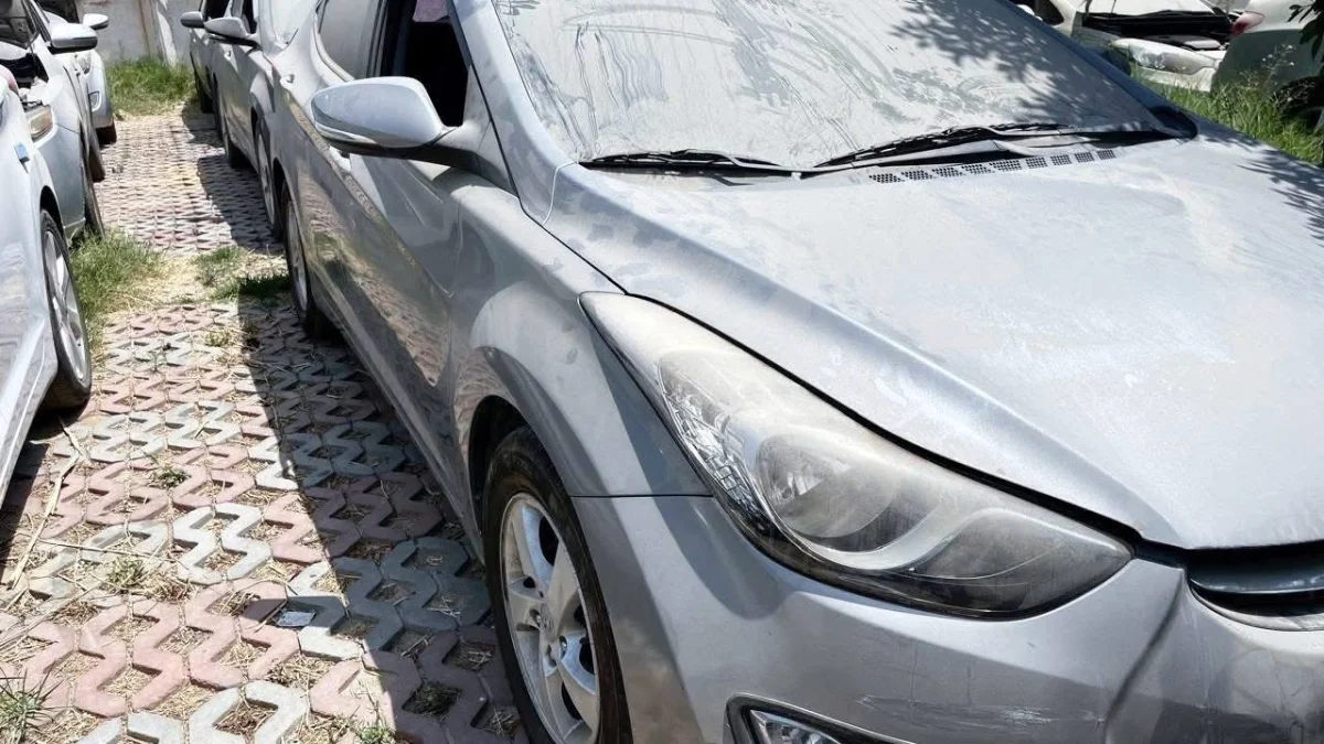 Port Said Customs Auction: Hyundai, Kia, and Mercedes Cars Up for Bid Tomorrow