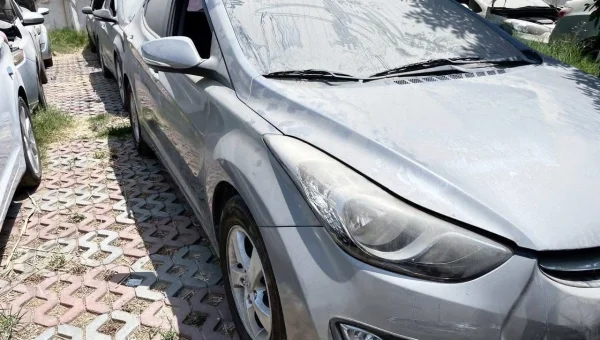 Port Said Customs Auction: Hyundai, Kia, and Mercedes Cars Up for Bid Tomorrow