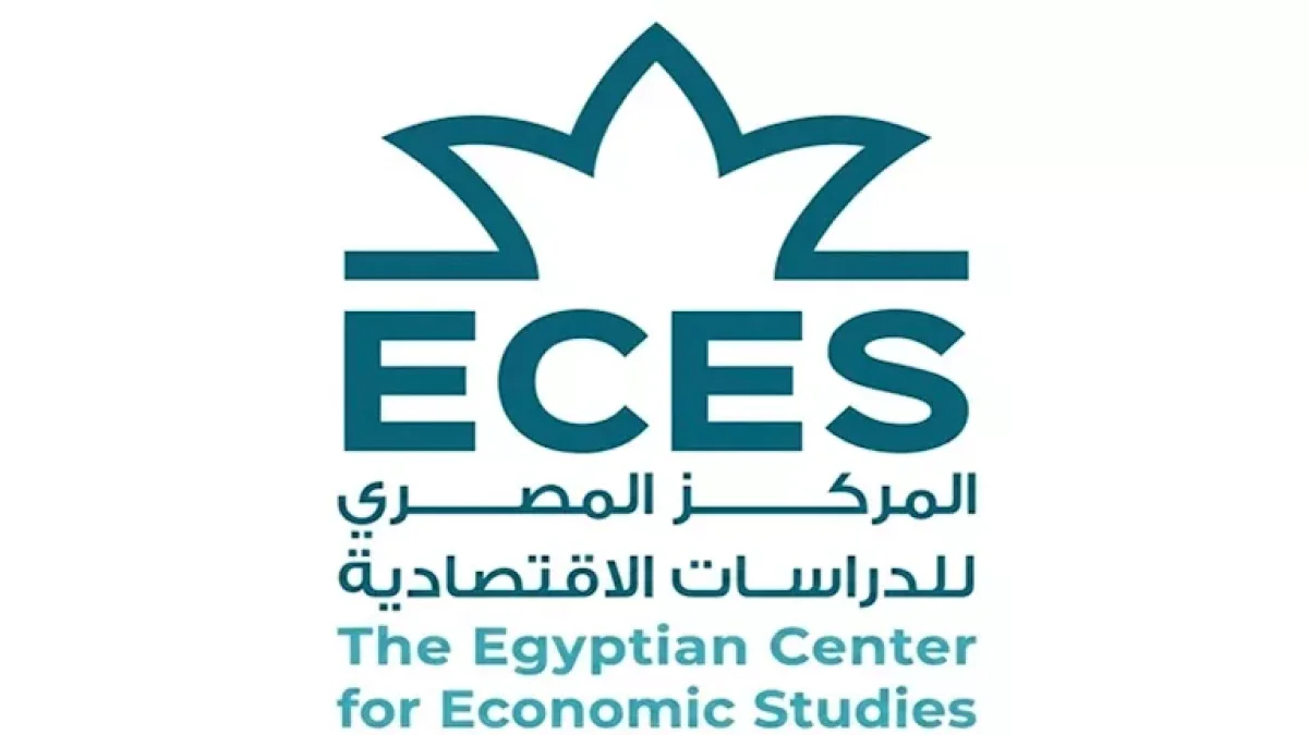 Egypt's Auto Industry Challenges: Widening Gap with Morocco and South Africa