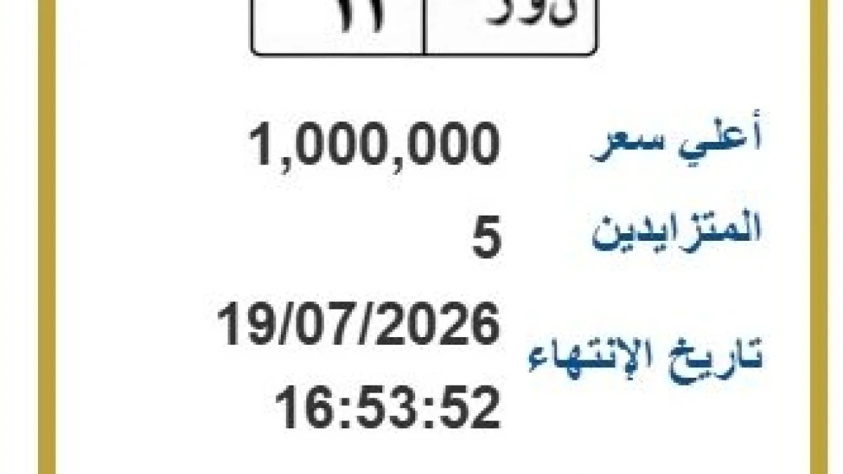 مزاد إلكتروني مميز: 5 لوحات سيارات نادرة بأسعار تصل إلى مليون جنيه