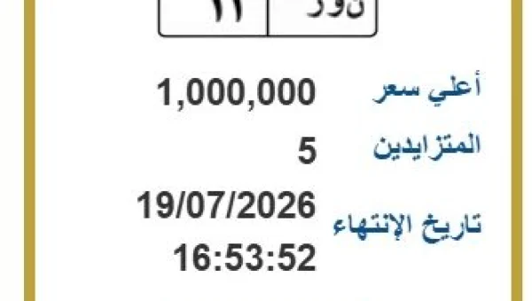مزاد إلكتروني مميز: 5 لوحات سيارات نادرة بأسعار تصل إلى مليون جنيه