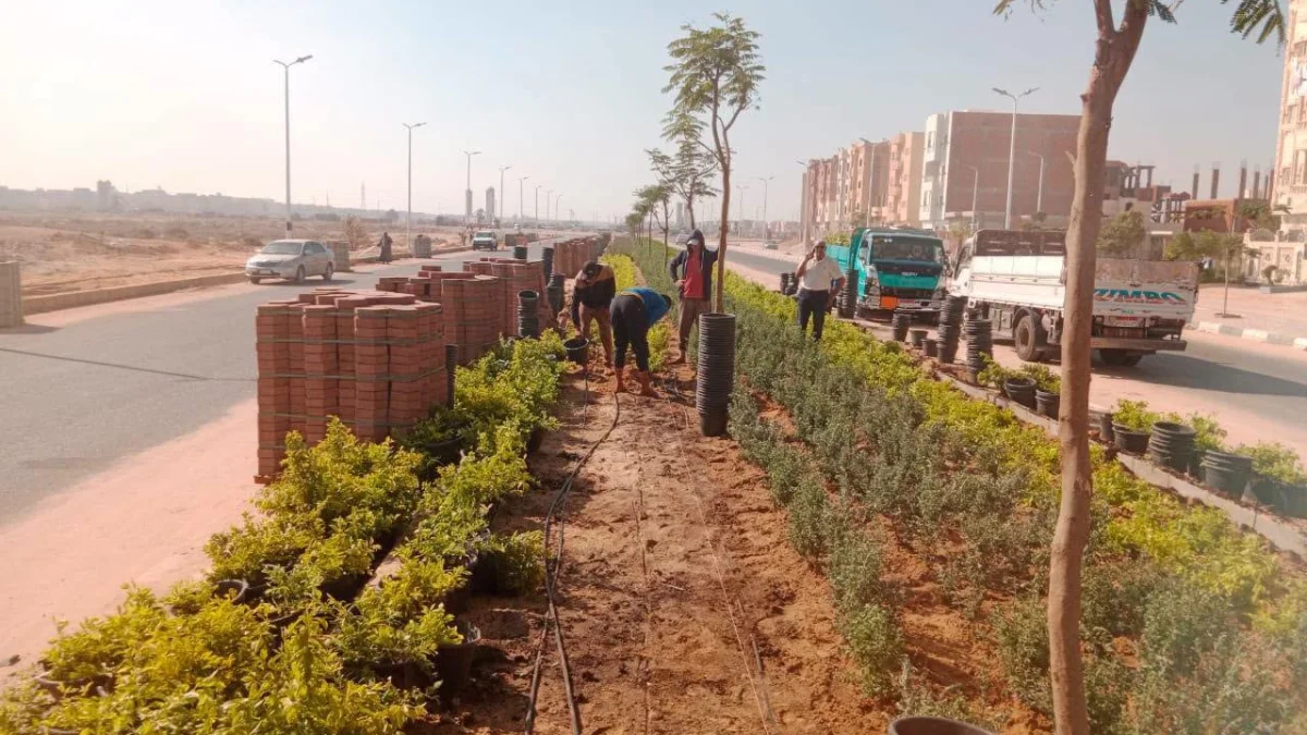 Major Road and Infrastructure Upgrades in 10th of Ramadan City to Boost Industry and Logistics