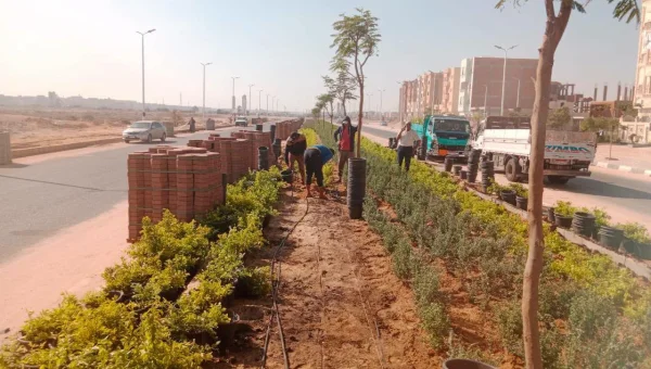تطوير شامل للطرق والمرافق في العاشر من رمضان لدعم الصناعة والنقل