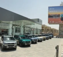 بي واي دي تحتل صدارة سوق مركبات الطاقة الجديدة في مصر خلال 146 يوما
