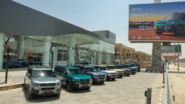 بي واي دي تتصدر سوق السيارات الكهربائية والهجينة في مصر بـ 8 طرازات جديدة