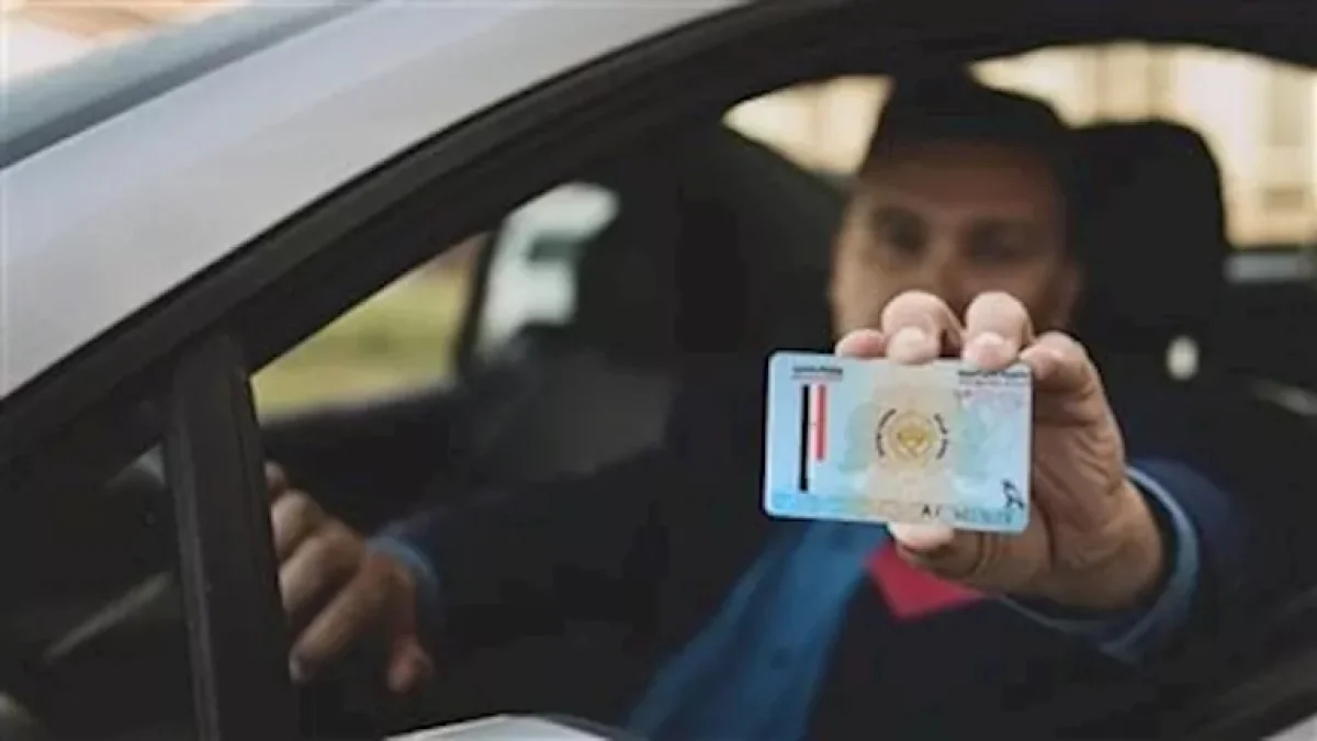 Professional Driving License for Taxi and Transport Drivers: From Medical Exams to Tests