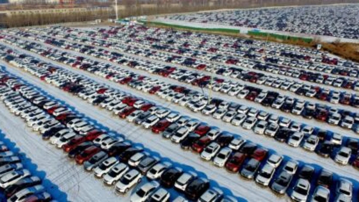 AMIC: Egypt Sells Over 81,000 Vehicles in Five Months