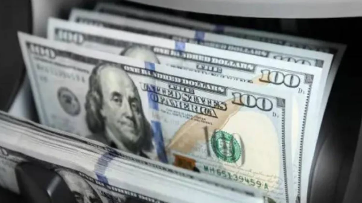 US Dollar Exchange Rate Holds Steady Against Egyptian Pound in Tuesday Midday Trading