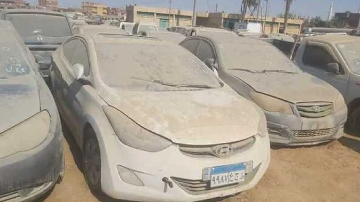 Egypt Government Auction to Offer Wide Selection of Used Cars and Vehicles in August
