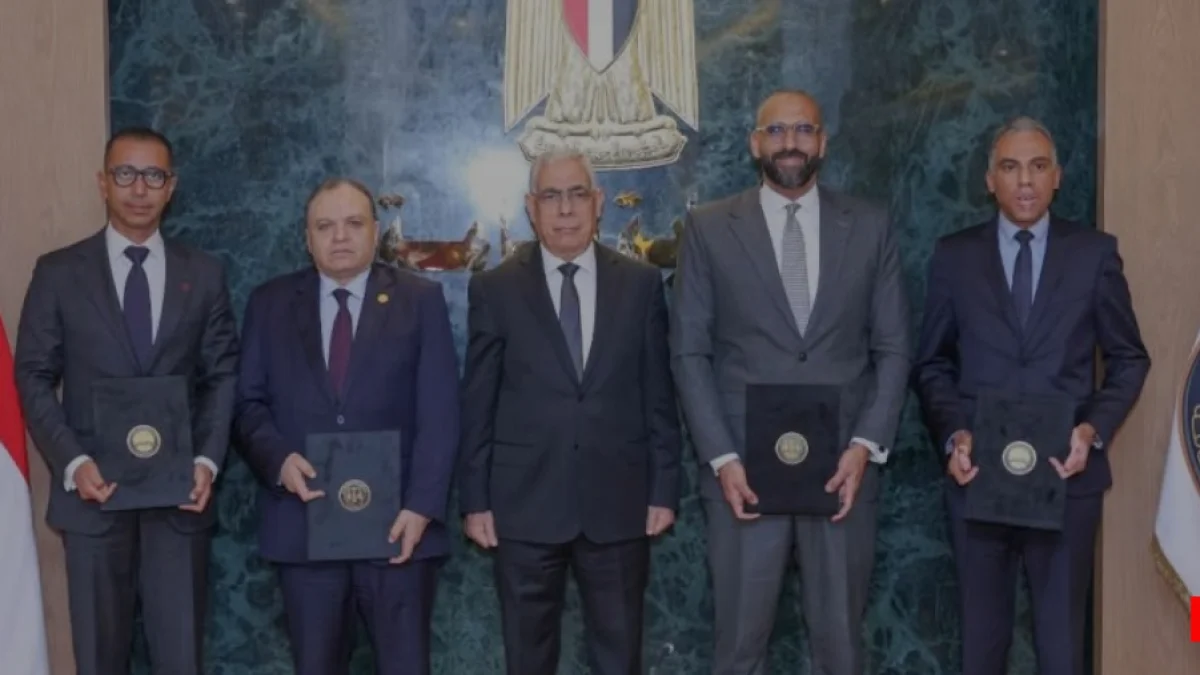 Egypt's Public Prosecution Launches Digital Traffic Services via Vodafone's Ana App