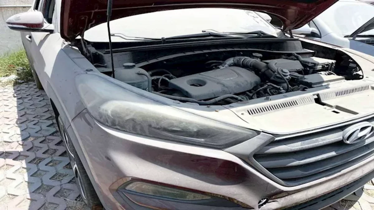 Port Said Customs Auction Offers Hyundai, Kia and Honda Cars for Sale