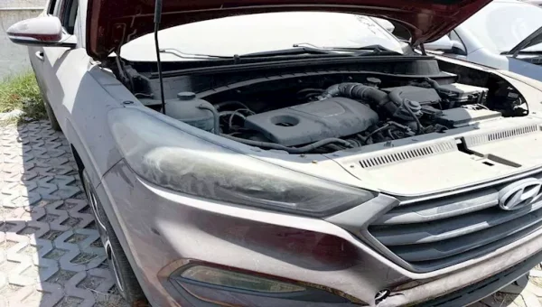 مزاد جمرك بورسعيد يطرح سيارات هيونداي وكيا وهوندا للبيع