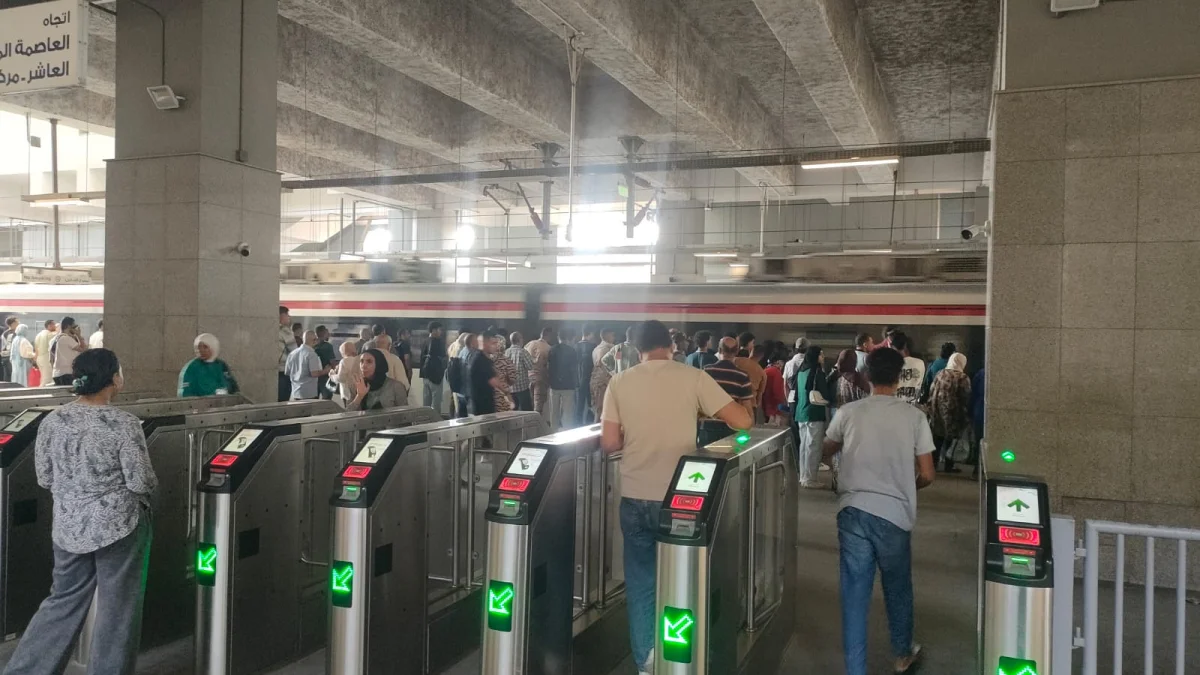 Did Egypt's Trains, Metro, and Ports Survive the Dawn Earthquake? The Ministry Answers