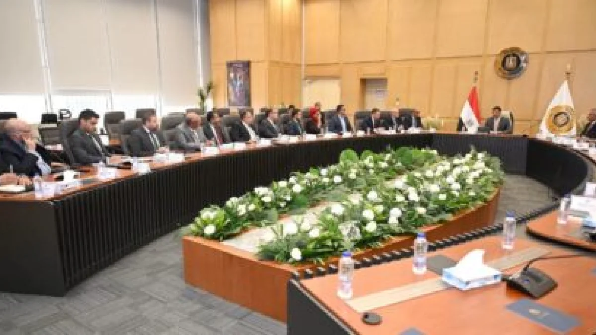 Egypt Studies Ambitious Plan to Double Car Production in 5 Years