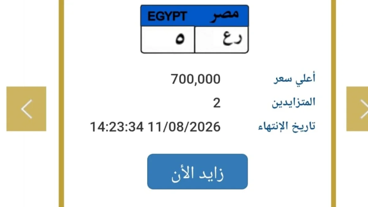 لوحة «رع ٥» تلامس 700 ألف جنيه في مزاد المرور.. وصراع شرس حتى اللحظات الأخيرة