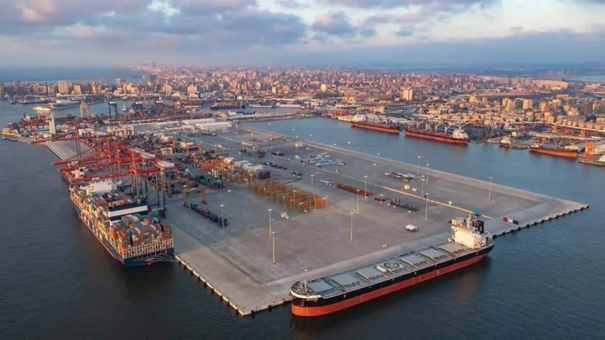 Egypt's Maritime Leap Reshapes Auto Trade and Regional Logistics