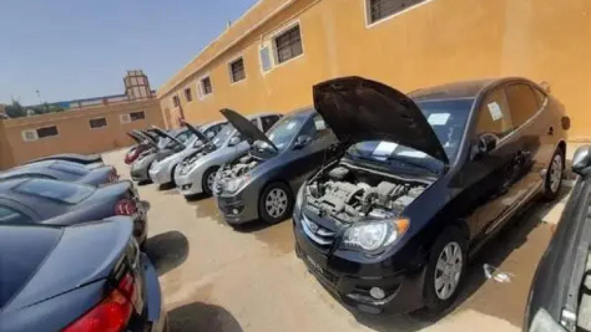 New Auction for 25 Passenger and Commercial Cars in Egypt This August