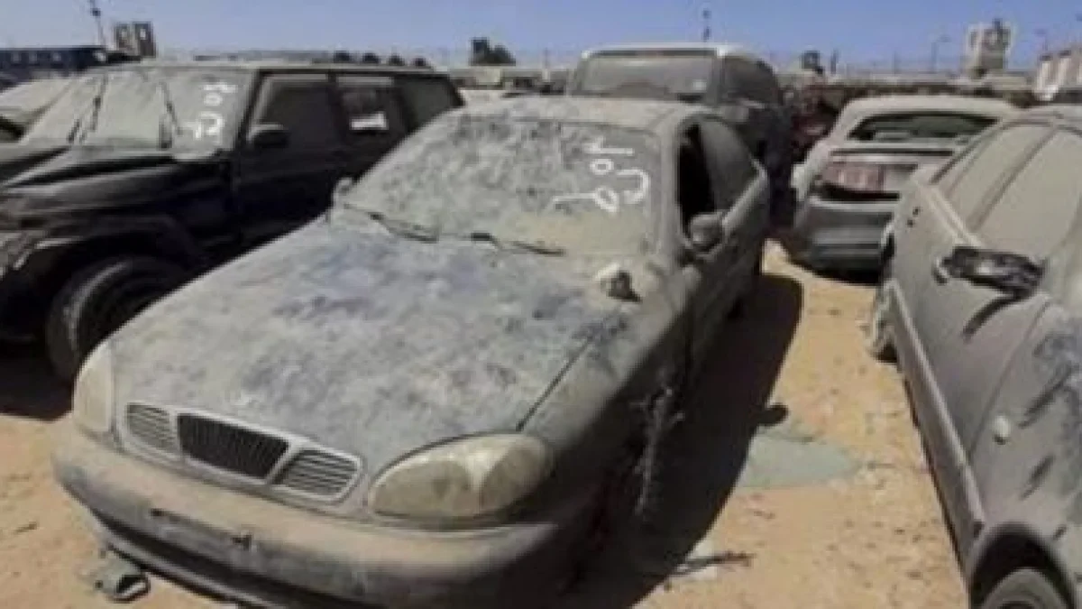 Port Said Customs Auction Raises EGP 49.5 Million from 74 Cars