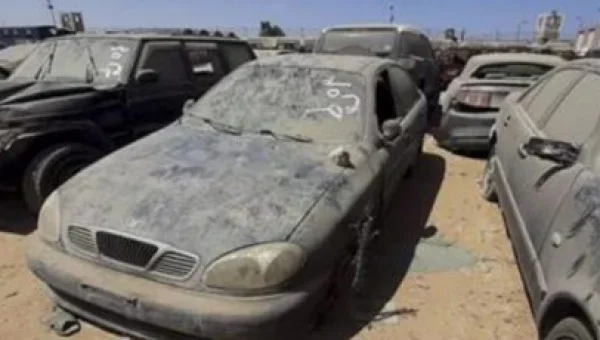 Port Said Customs Auction Raises EGP 49.5 Million from 74 Cars