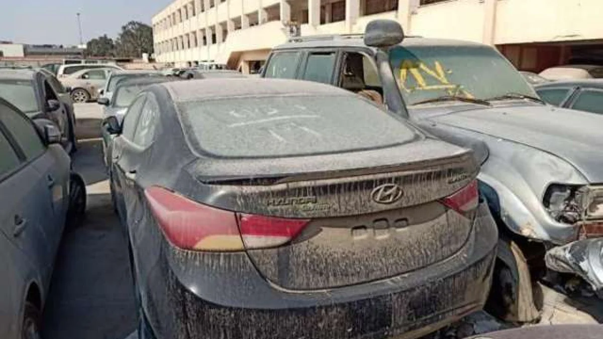 Alexandria Customs Car Auction Launches August 31 with New Conditions