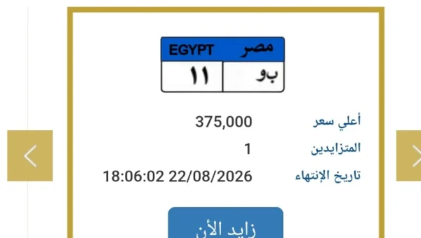 License Plate 'B & 11' Ignites Traffic Auction: Bidding Surpasses EGP 375,000