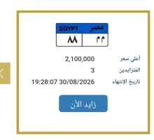 Traffic Auction Heats Up: License Plate 'M M 88' Surges to EGP 2.1 Million