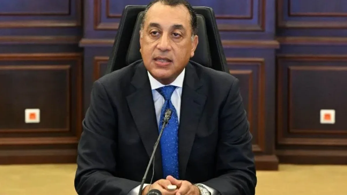 Egypt Moves to Localize Car Body Manufacturing with Spanish Investor and El-Sewedy