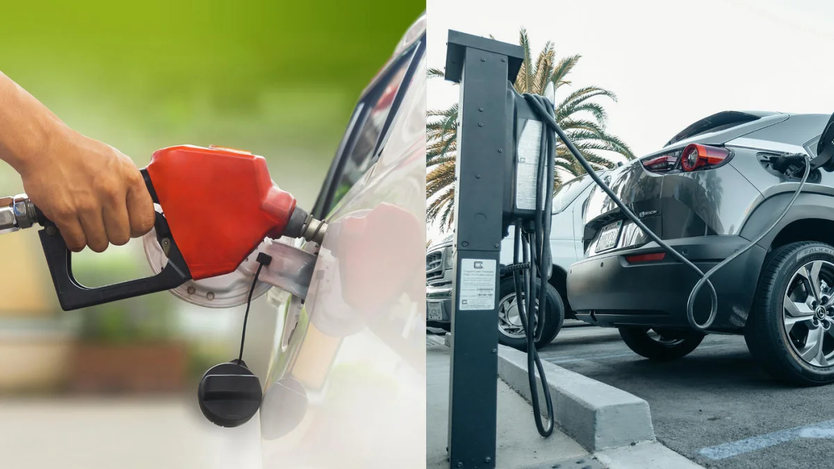 August Licensing Report: 340K Gasoline Vehicles Dominate While Only 2,196 Go Electric