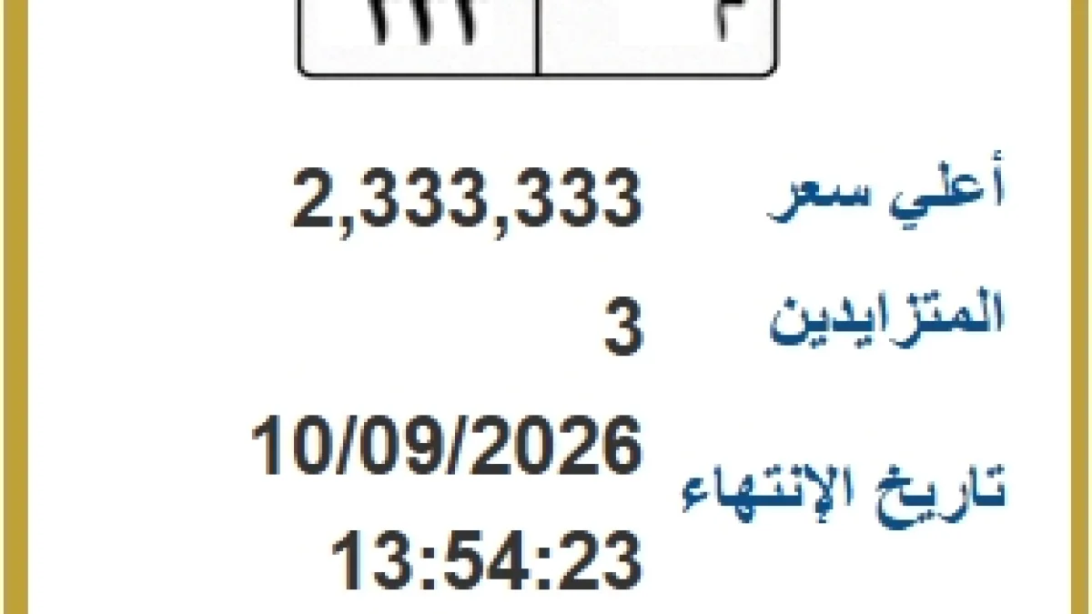 8 لوحات سيارات مميزة في مزاد جديد.. والرقم 333 يتصدر بـ 2.3 مليون جنيه